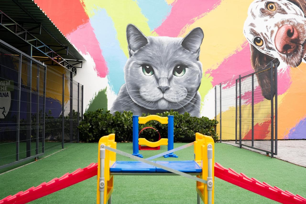 Espaço interno para cães